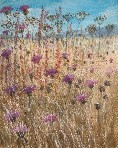 Dark Scabious af Lincoln Seligman