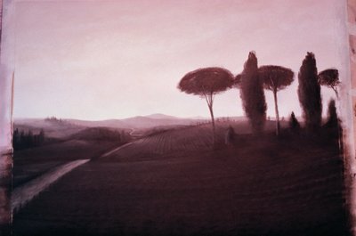 Tuscan Landscape, 1992 (akryl på papir) af Lincoln Seligman