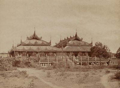 Amerapoora: Pyee road Kyoung af Linnaeus Tripe