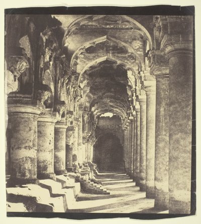Arcade i Quadrangle af Linnaeus Tripe