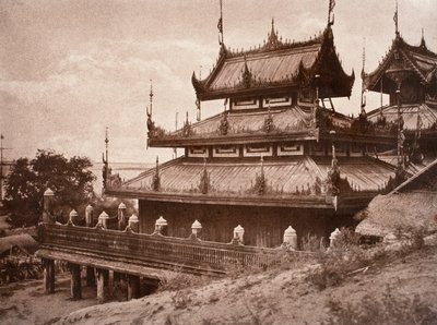 nr. 8. Y er-mand-gaiyou som [yen højånd AU at]. K ung. af Linnaeus Tripe
