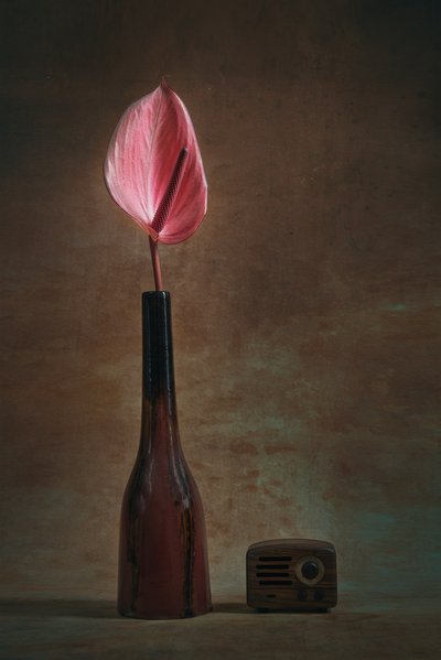  af Liu Xing