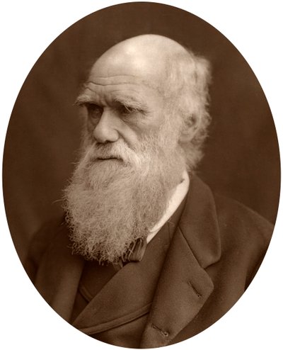 Charles Darwin, 1878. af Lock and Whitfield