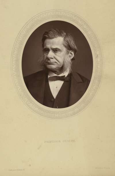 Portræt af Thomas Henry Huxley af Lock and Whitfield
