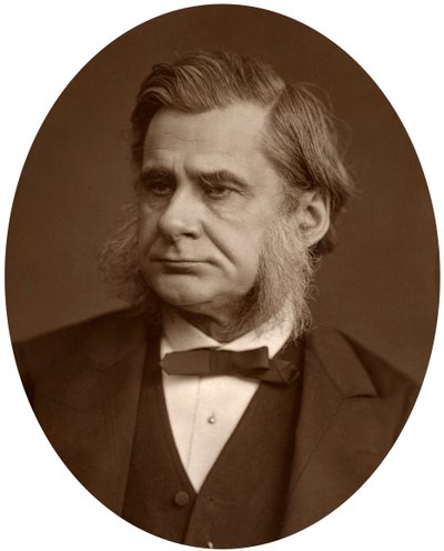 Professor Thomas Henry Huxley, 1880. af Lock and Whitfield