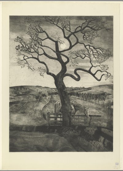 Hest i en eng ved Etikhove Vieux Cheval og Repos (originalt titel) af Lodewijk Schelfhout (signed by artist)
