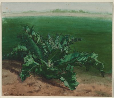 Studie af en plante, muligvis tidsel af Léon Bonvin