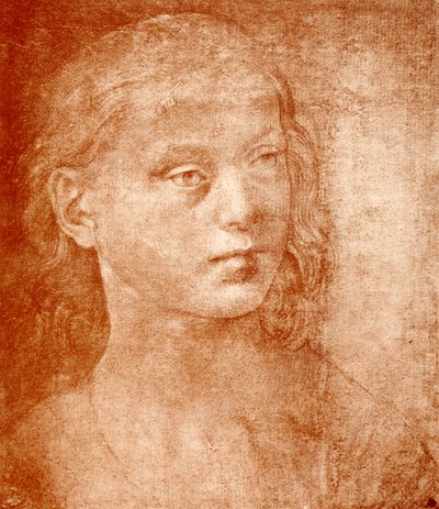 Piges hoved af Lorenzo di Credi