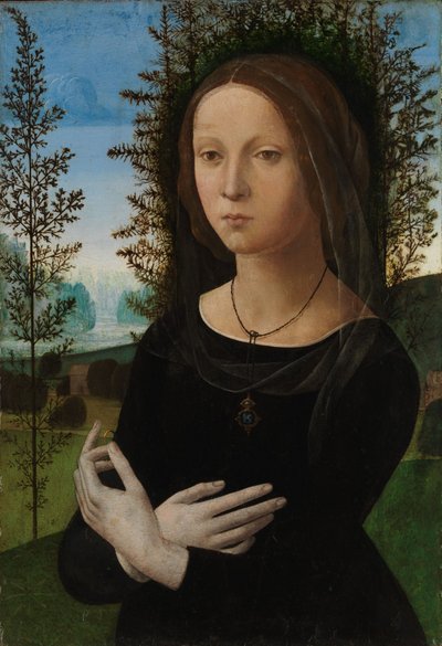 Portræt af en ung kvinde, ca.1475-80 (olie på træ) af Lorenzo di Credi