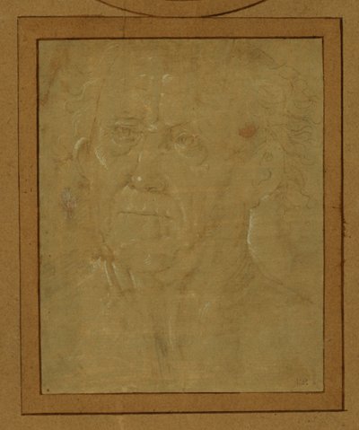 Portræt af en gammel mand ... af Lorenzo di Credi