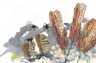 Botaniske Banksia-edderkopper af Lori Ann Folz