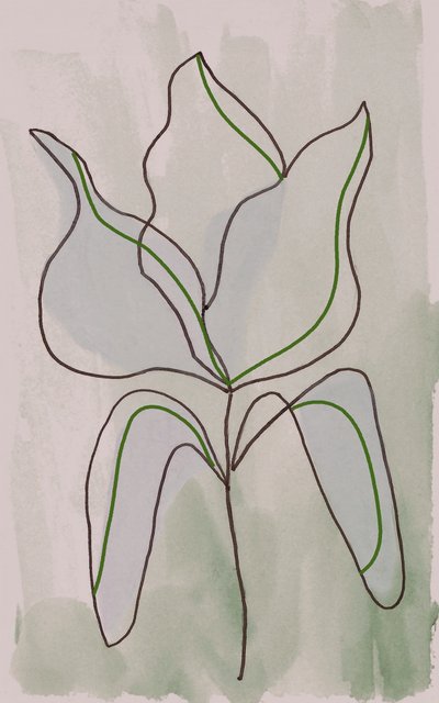 Minimalistisk botanisk skitse af Lori Ann Folz