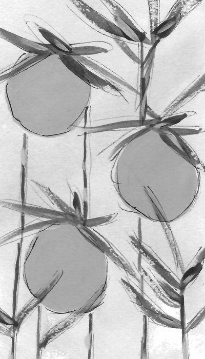 Organic Ink Botanicals af Lori Ann Folz