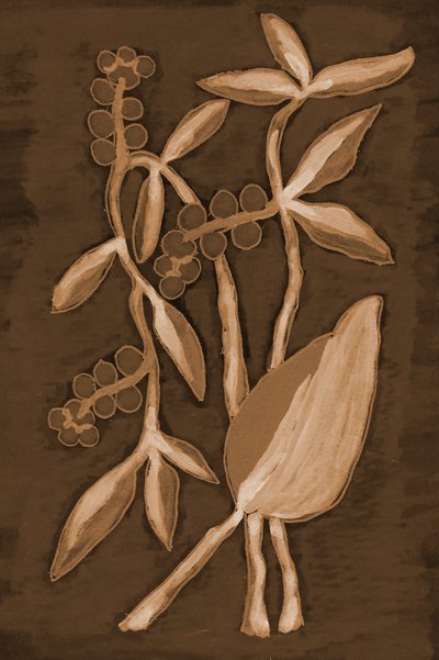 Økologiske Sepia Botanicals af Lori Ann Folz