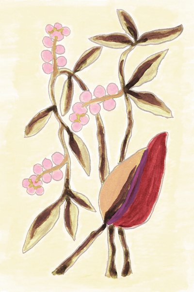 Pink Berry Botanicals af Lori Ann Folz