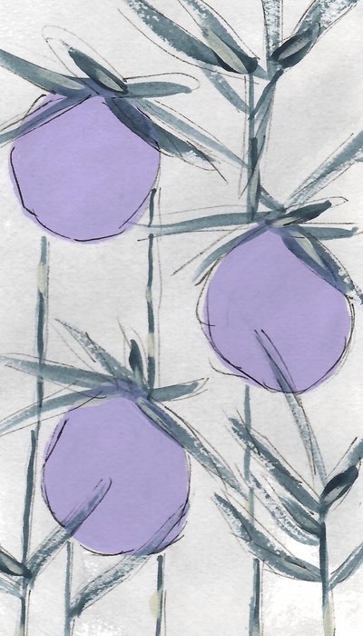 Lilla botaniske frugter af Lori Ann Folz