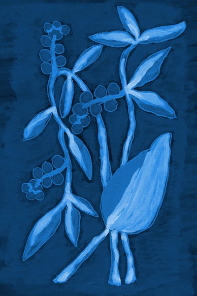 Frøkapslen 1 – Deep Blue af Lori Ann Folz