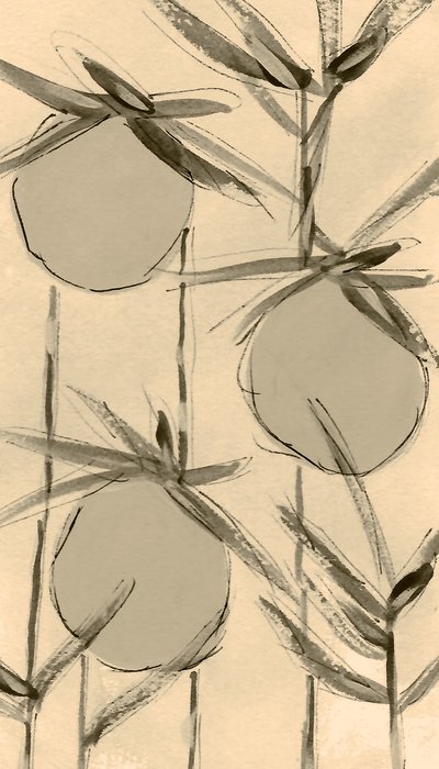 Sepia-bomuldsplanter af Lori Ann Folz