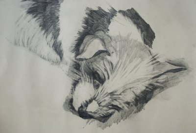 Jack Russel, 2015, af Lou Gibbs