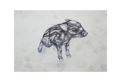 Lille gris, 2015, (bic biro på papir) af Lou Gibbs