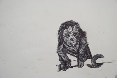 Monkey Business,2016,(bic biro på papir) af Lou Gibbs