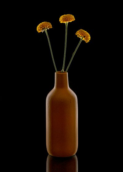 Varm blomsterbrun vase af Louie Luo