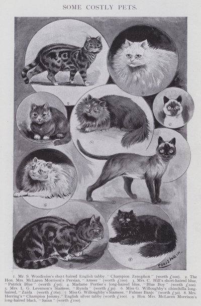 Nogle dyre kæledyr (litho) af Louis (after) Wain
