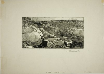 Le Cirque du Long-Rocher af Louis Auguste Lepère
