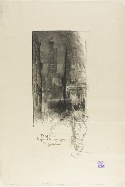 Paris: Rue de la Montagne-Ste-Geneviève af Louis Auguste Lepère