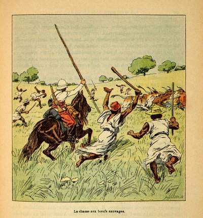 The War in Madagascar-Anecdotal History of the French Expeditions of 1885-1895 af Henri Galli dit Galllichet (1854-1922), illustreret af Louis Bombled (1862-1927): Jagten på vilde okser i Madagaskar i 1895, privat samling af Louis Charles Bombled