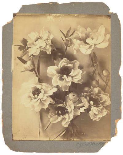 Tiffany Studios, ca. 1898-1920 (fotografi s/h) af Louis Comfort Tiffany