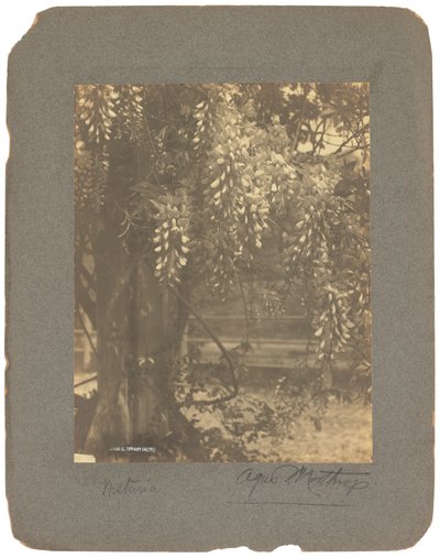 Tiffany Studios, ca. 1898-1920 (fotografi s/h) af Louis Comfort Tiffany