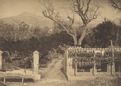Landbrugsscene med bjerge, 1850