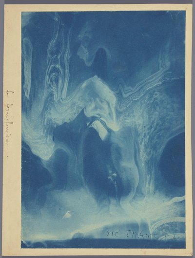 Le transformisme / Sic transit (titel på objekt) af Louis Ducos du Hauron (attributed to)