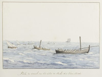 Koraalvissers voor de kyst af Sicilië ter højde af Terra Nuova Koralfiskeri på Siciliens kyster mod Terra Nuova (titel på objekt) Rejser i Italien, Sicilien og Malta - 1778 (serietitel) af Louis Ducros