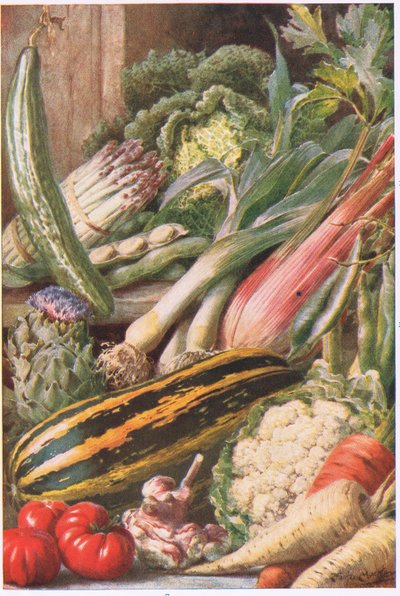 Havegrøntsager, illustration fra 