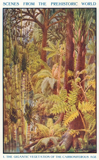 Den gigantiske vegetation i kultiden (farvelitografi) af Louis Fairfax Muckley