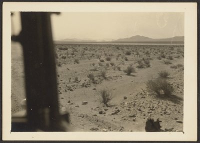 [Amargosa-ørkenens planter] af Louis Fleckenstein