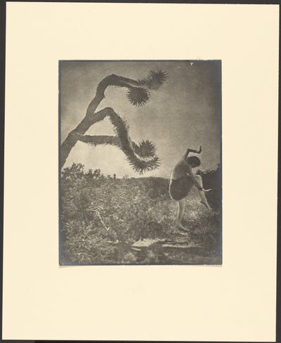 Apache-dans af Louis Fleckenstein