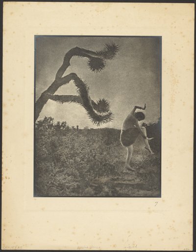 Apache-dans af Louis Fleckenstein