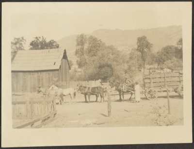 [Barnyard Scene] af Louis Fleckenstein