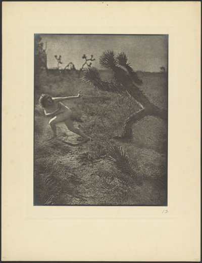 Ørkenens bøhmand af Louis Fleckenstein