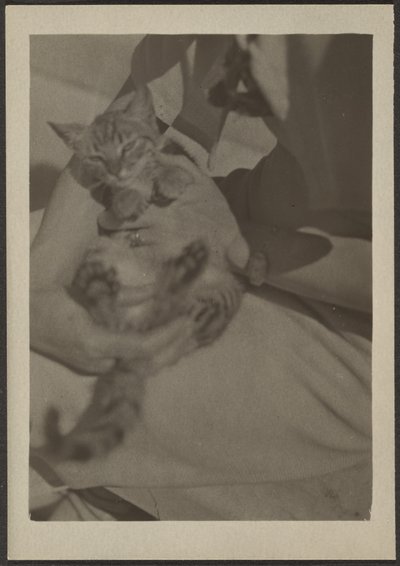 [Kat] af Louis Fleckenstein