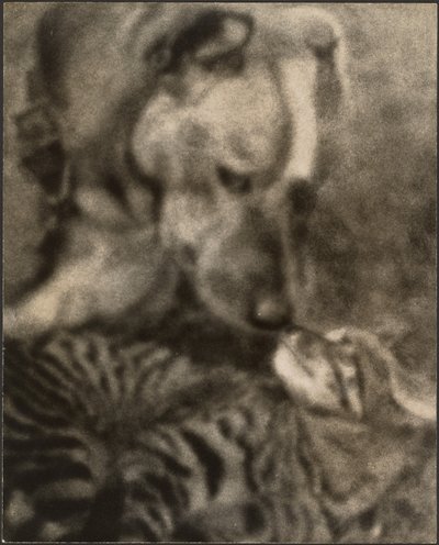 [Kat og hund] af Louis Fleckenstein