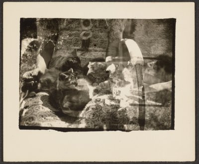 [Katte og refleksioner]. af Louis Fleckenstein