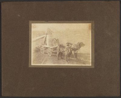 [Børn på vogn trukket af hunde]. af Louis Fleckenstein