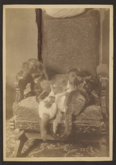 [Kælende katte og hunde] af Louis Fleckenstein