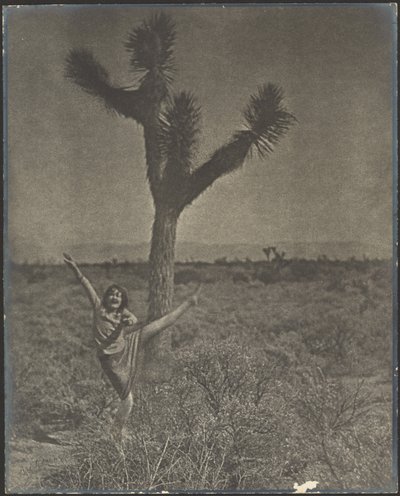 [Danser ved Joshua Tree] af Louis Fleckenstein