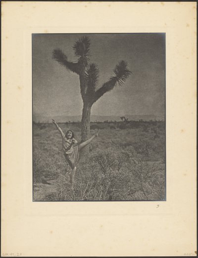 [Danser ved Joshua Tree] af Louis Fleckenstein
