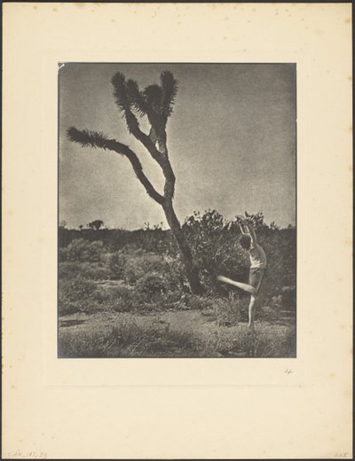 [Danser ved Joshua Tree] af Louis Fleckenstein